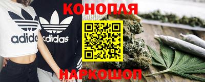 стаф Берёзовский