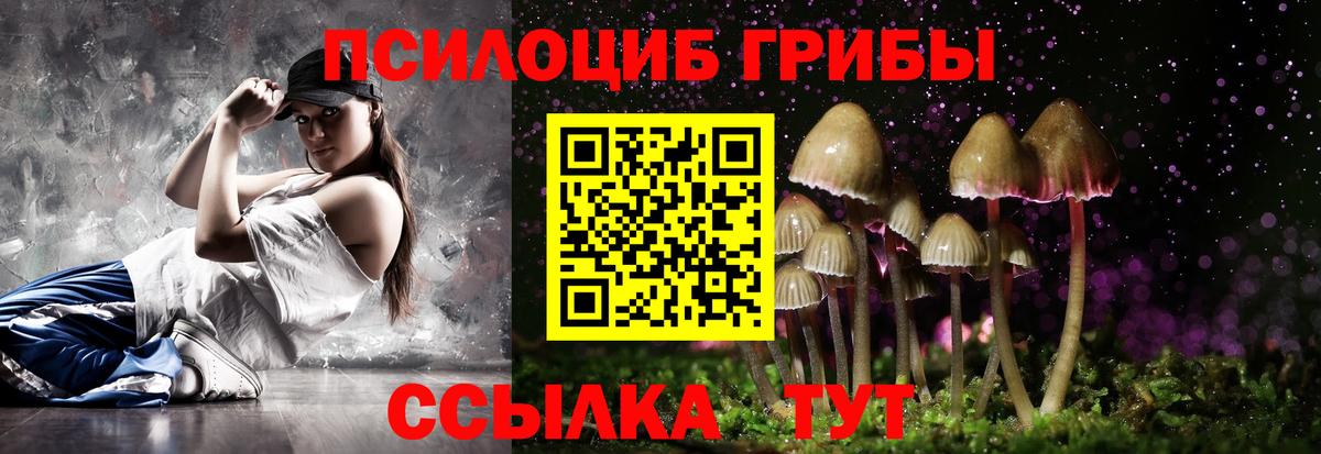 Псилоцибиновые грибы Psilocybine cubensis Клинцы